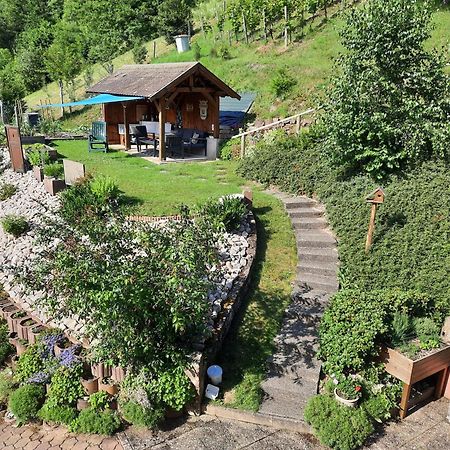 Chambres D'Hotes "Au Val Sejour" Alsace Saint-Martin  Exteriér fotografie