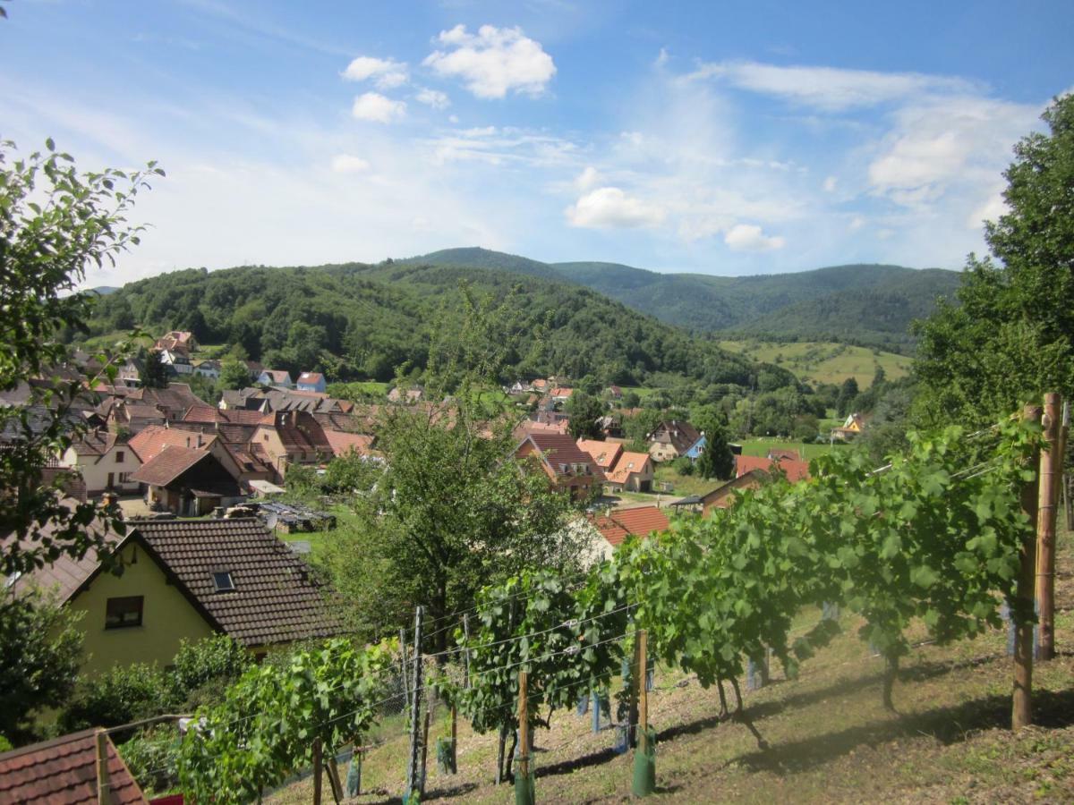 Chambres D'Hotes "Au Val Sejour" Alsace Saint-Martin  Exteriér fotografie
